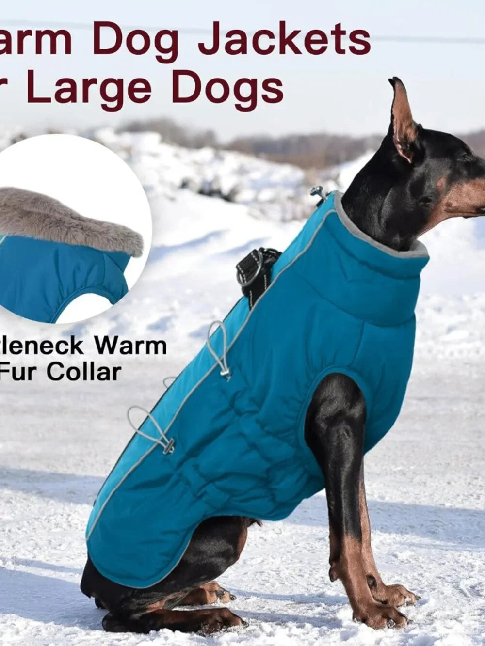 Dog Coat